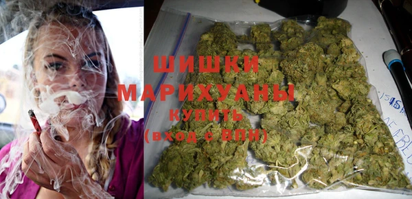 стафф Новокубанск