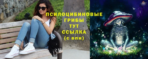 стаф Новодвинск