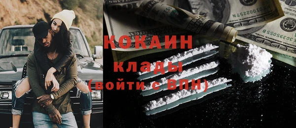 стаф Новодвинск