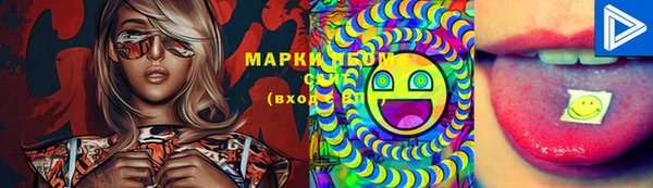 стафф Новокубанск