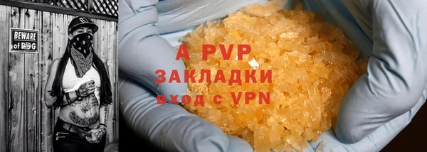 стаф Новодвинск