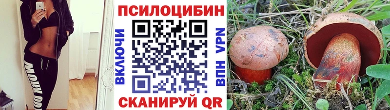 Галлюциногенные грибы ЛСД  OMG рабочий сайт  это формула  Курчатов 